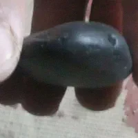 شهابسنگ|کلکسیون اشیاء عتیقه|خاش, |دیوار