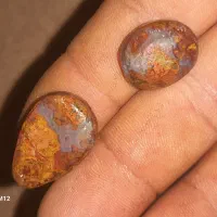 سنگ شجر|جواهرات|سبزوار, پامنار|دیوار