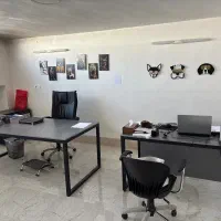 ویزیتور تلفنی خانم