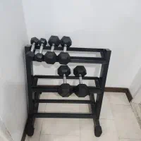 استند و دمبل ورزشی نو
