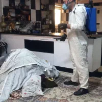 شرکت خدمات سمپاشی دارای مجوز|خدمات نظافت|بهنمیر, |دیوار