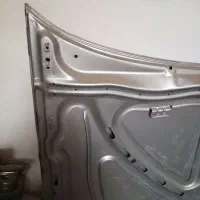 کاپوت زانتیا