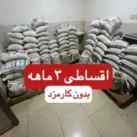 برنج ایرانی شمال ( اقساط ۳ ماهه)