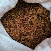 کشمش تیزآبی کشمش آفتابی گله کشمش پلویی مویز کشمش|خوردنی و آشامیدنی|مشهد, امیریه|دیوار