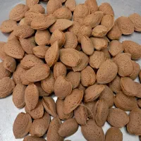 بادام تلخ