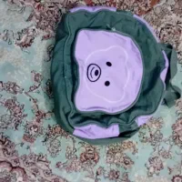 ساک کودک سالم