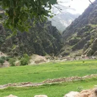 نیازمند پرستار خانم شبانه روزی برای مادرم