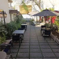 پاچینی زن حرفه ای