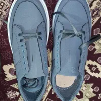 کفش ونس
