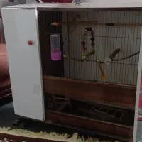 قفس چوبی پرنده سالم معاوضه