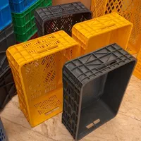 سبد ۲۰ کیلویی ماهی (سبد قزل آلا)|عمدهفروشی|رشت, شهرک صنعتی|دیوار