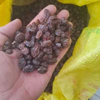 کشمش و مویز