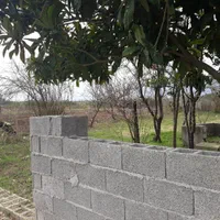 زمین ۴۱۶ متری مسکونی روستای چمن