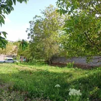 فروش باغ در بهترین نقطه بزنجان