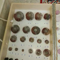 انواع سنباده چتری سنگ انگشتی/خرید مستقیم از تولیدی|ابزارآلات|تهران, آهنگ|دیوار