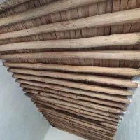 اسپی چوب(تیره