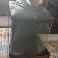 آکواریوم شرکتی ماهیران