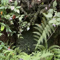 ۳۲۴ متری دریاگوشه متل قو مازندران