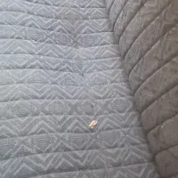 فروش خودرو|خودرو سواری و وانت|شیروان (خراسان), |دیوار