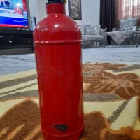 کپسول دو کلیوی