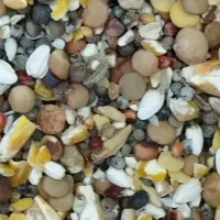 بورس خوراک پرندگان ( گل دانه)|لوازم جانبی حیوانات|قم, فرهنگیان و شهربانی|دیوار