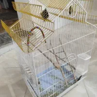 قفس عروس با تمام وسایل