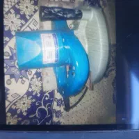 دوعدد آره گرد سالم