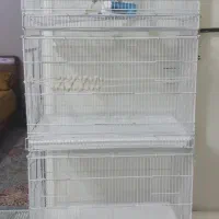 قفس طوطی پژاوند