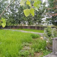 253 متر زمین مسکونی روستایی در اطراف رضوانشهر|فروش زمین و ملک کلنگی|رضوانشهر, |دیوار