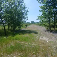 204 متر زمین سند دار سرمایه گذاری