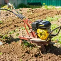 شخم زدن باغها محوطه تعویض خاک وباغبانی|خدمات باغبانی و درختکاری|شیراز, گویم|دیوار