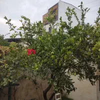 90-متر-ملکیت-3-طبقه-خوش-نقشه