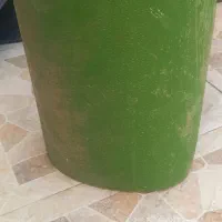 رول موکتی براکافه