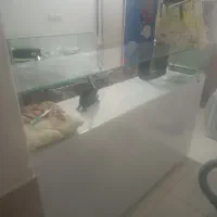 وسایل مغازه ویترین مانکن