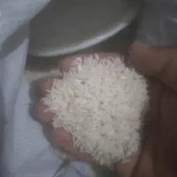 برنج طارم هاشمی