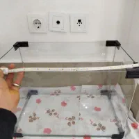 اکواریوم ولوازم|ماهی|قم, انسجام|دیوار