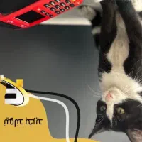 ضمانت کتبی قطع نشدن/بدون پیش پرداخت/کارتخوانL9/پوز