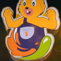 استخدام صندوقدار خانوم
