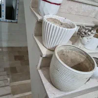 گلدان|گل و گیاه طبیعی|پاکدشت, پاکدشت (مامازند)|دیوار