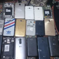 تعداد 100عدد کوشی اوراقی