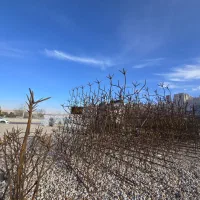 حفاظ گوزنی با جوشکاری روی دیوار نرده پنجره دزدگیر