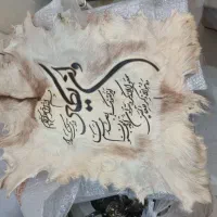 وان یکاد سوره آیه تابلو پوست|تابلو، نقاشی، عکس|تهران, باغ فیض|دیوار