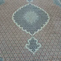 جفت ۱۲ متری ماهی