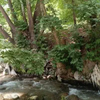 راهنمایی طبیعت گردی