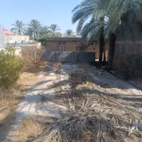 فروش زمین در کنار تخته|فروش زمین و ملک کلنگی|کنار تخته و کمار, |دیوار