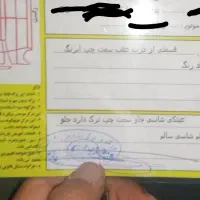 تیبا۲ خانگی