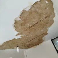 گچکاری لکه گیری خورده کاری تخریب همه جایه مشهد