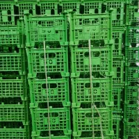 سبد|ظروف نگهدارنده، پلاستیکی، یکبارمصرف|بهار, |دیوار