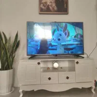 تلویزیون 49اینچ ایکس ویژن