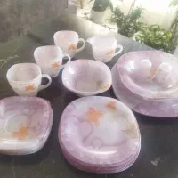 ارکوپال جیمیا و  لومینارک